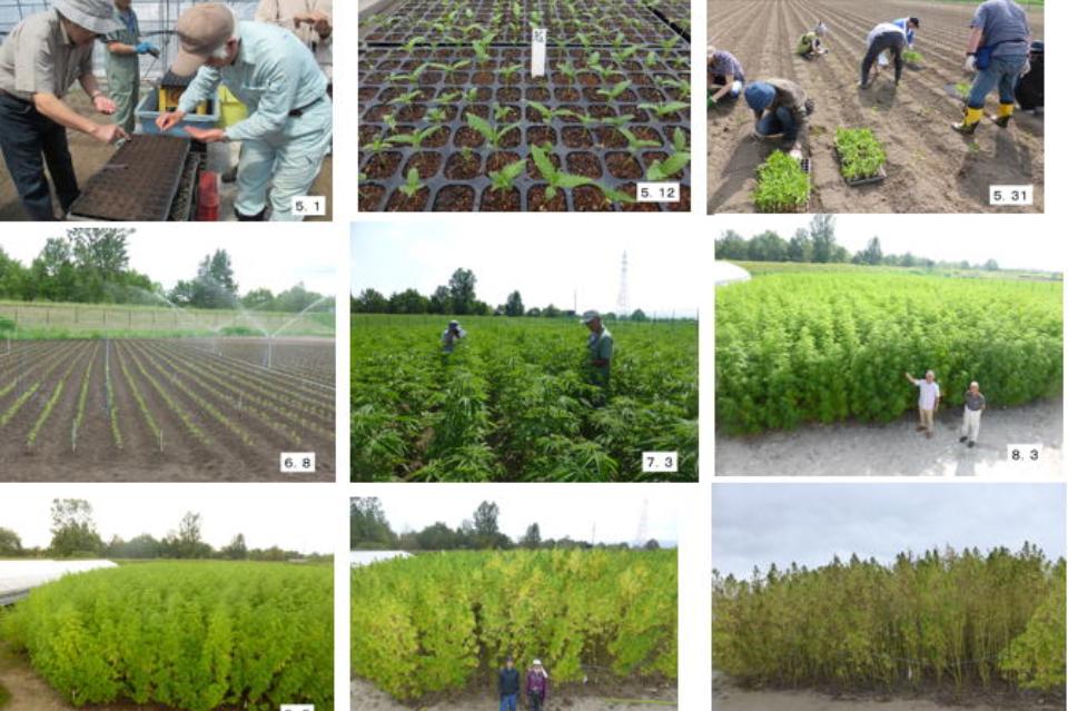 私たちの取り組む課題の画像