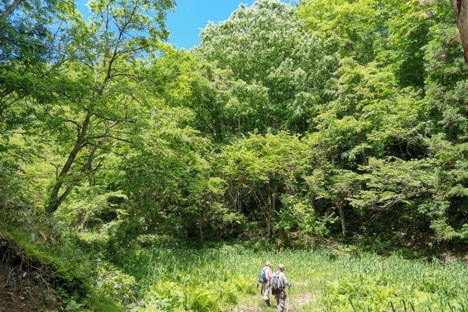 私たちの取り組む課題の画像