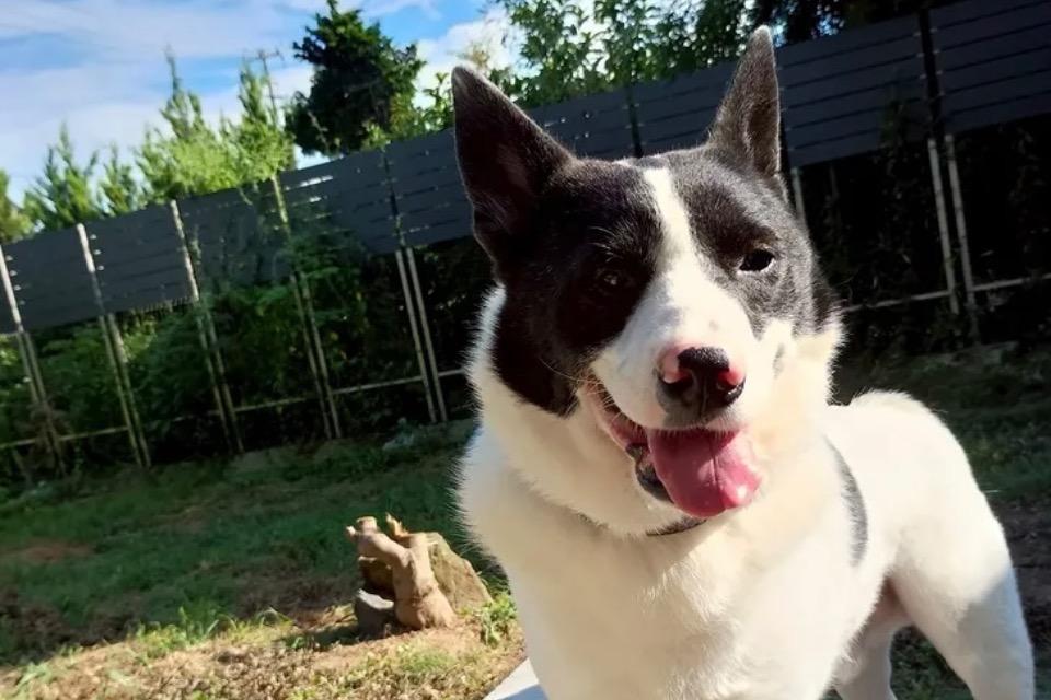 私たちの取り組む課題の画像