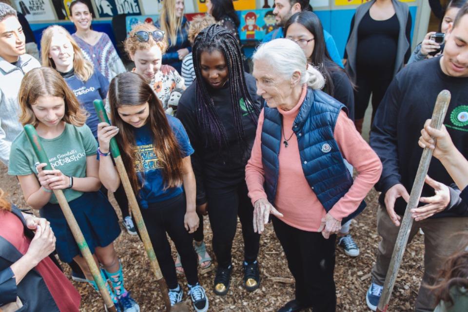 私たちの取り組む課題の画像