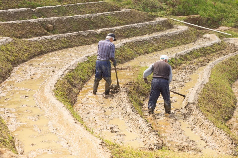 私たちの取り組む課題の画像