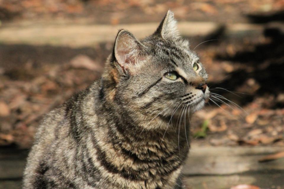 私たちの取り組む課題の画像