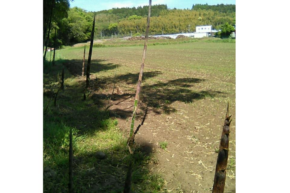 私たちの取り組む課題の画像