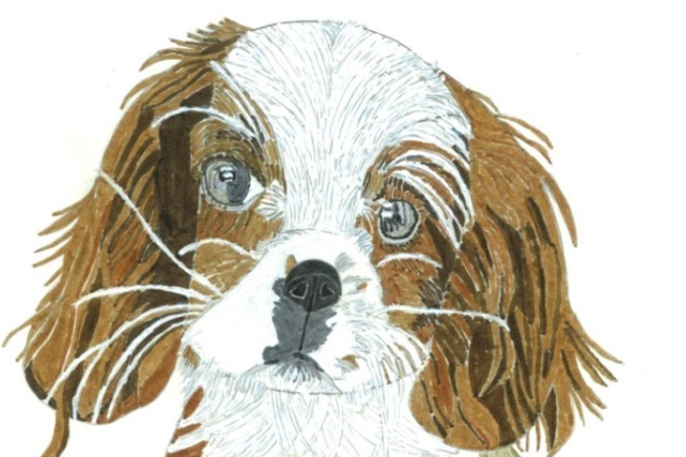 私たちの取り組む課題の画像