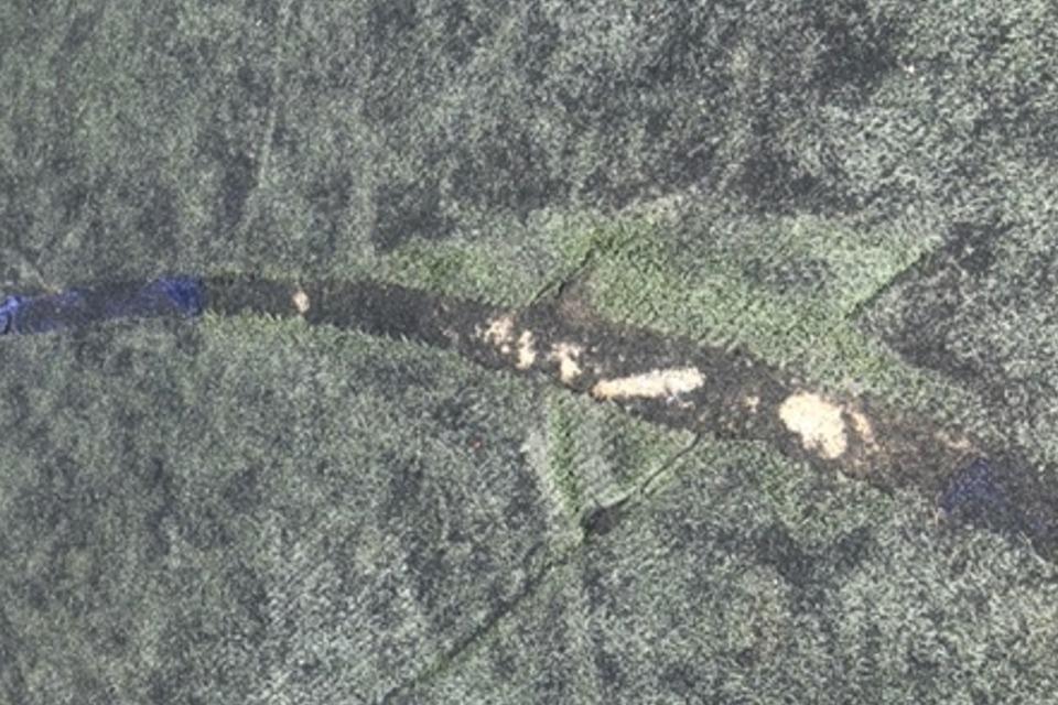 私たちの取り組む課題の画像