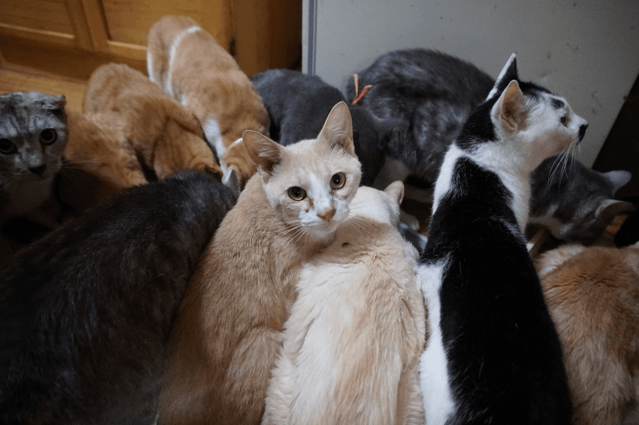 私たちの取り組む課題の画像
