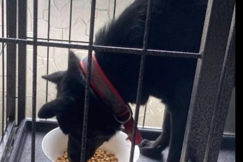 私たちの取り組む課題の画像