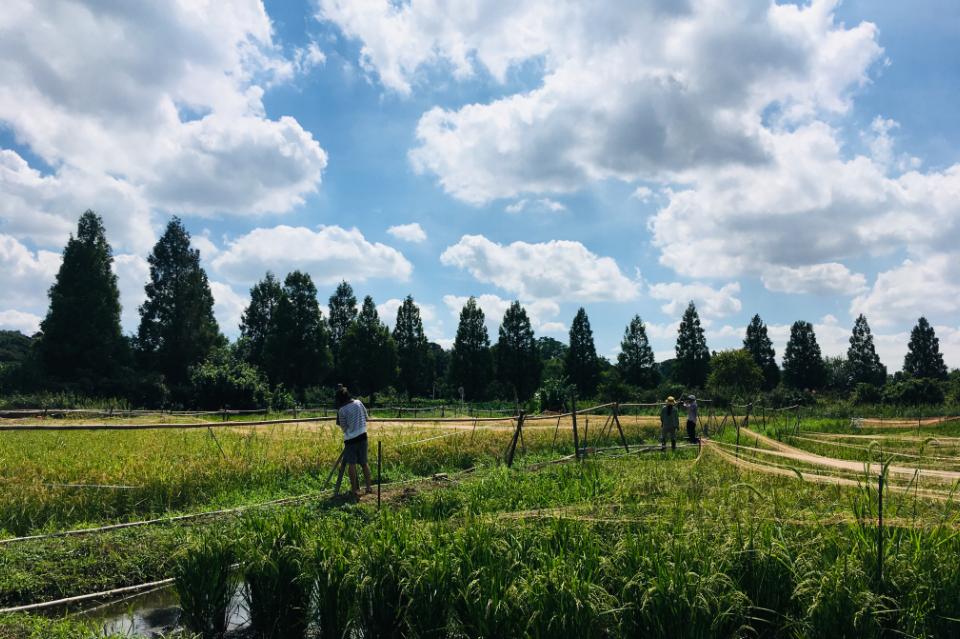 私たちの取り組む課題の画像