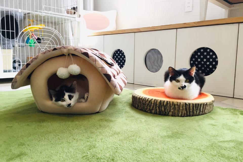 私たちの取り組む課題の画像
