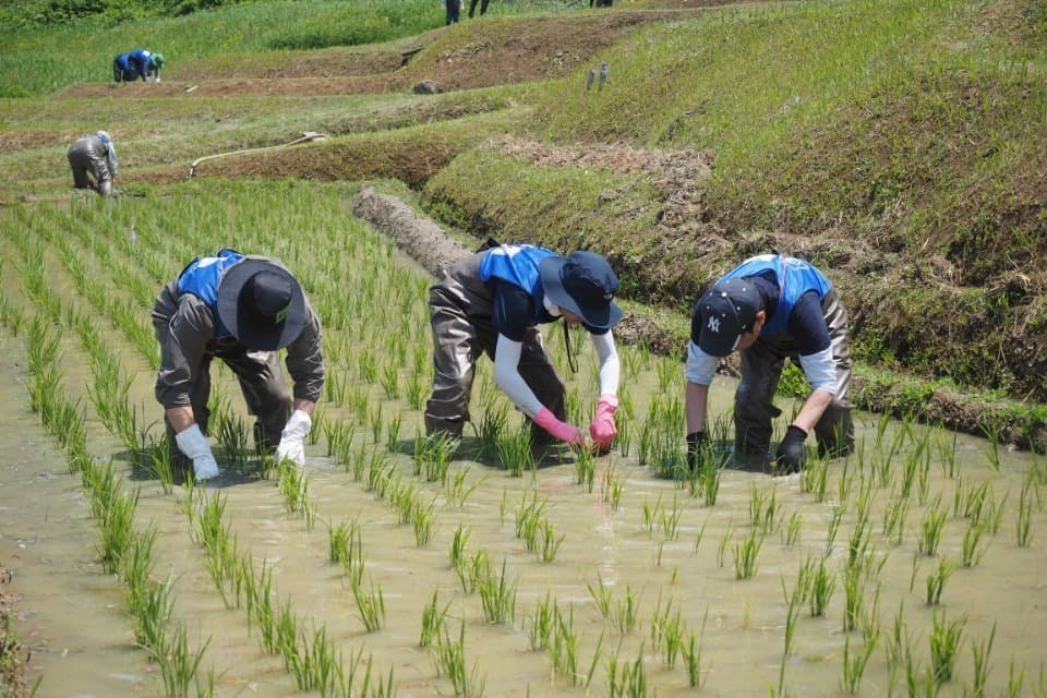 私たちの取り組む課題の画像