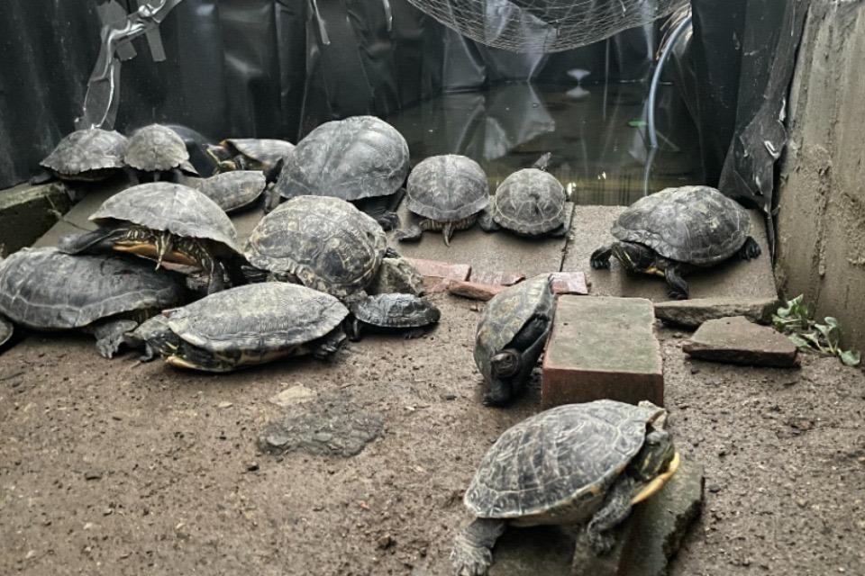 私たちの取り組む課題の画像