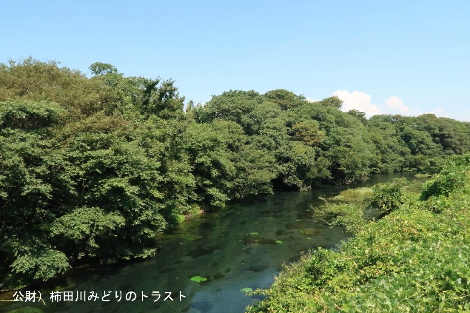私たちの取り組む課題の画像