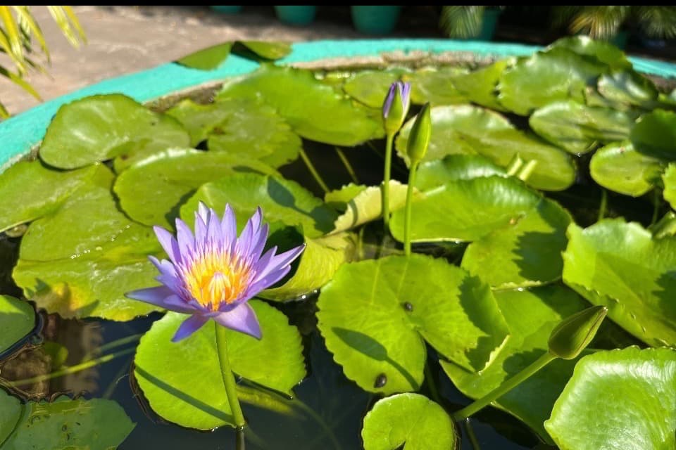 私たちの取り組む課題の画像