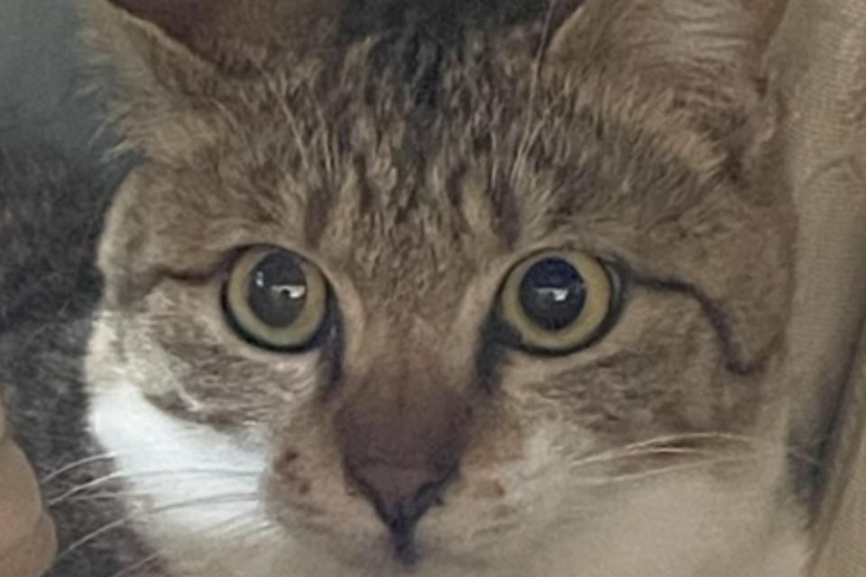 私たちの取り組む課題の画像