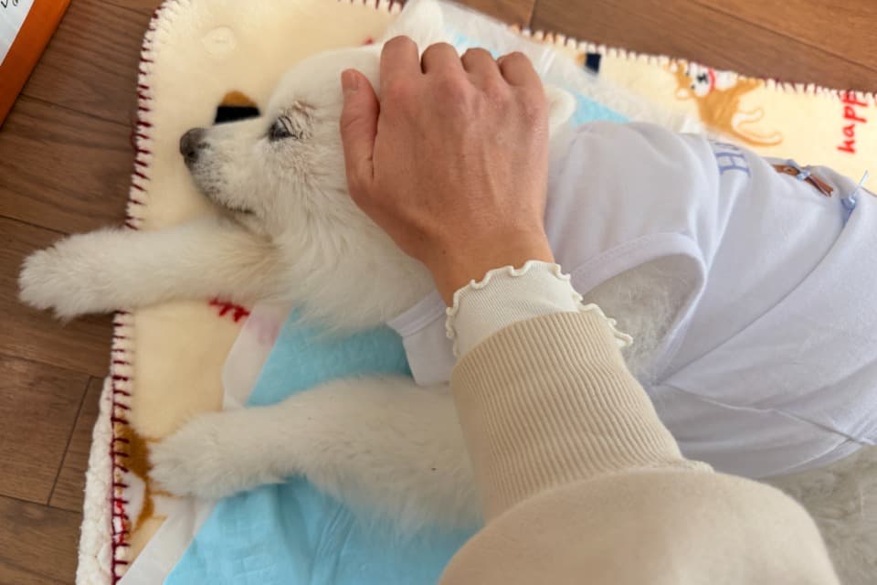 私たちの取り組む課題の画像