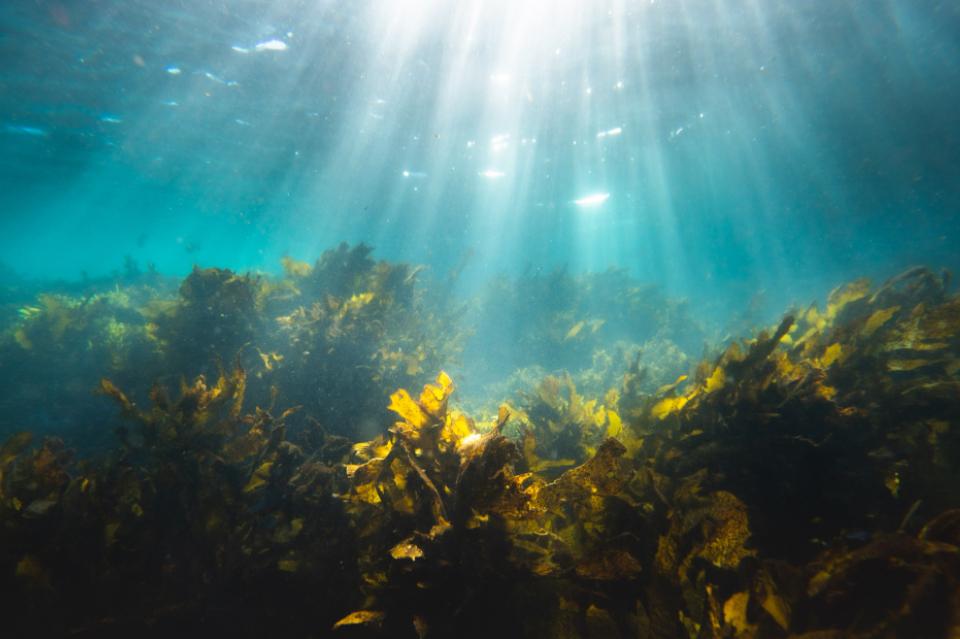 Issues we are working on Image