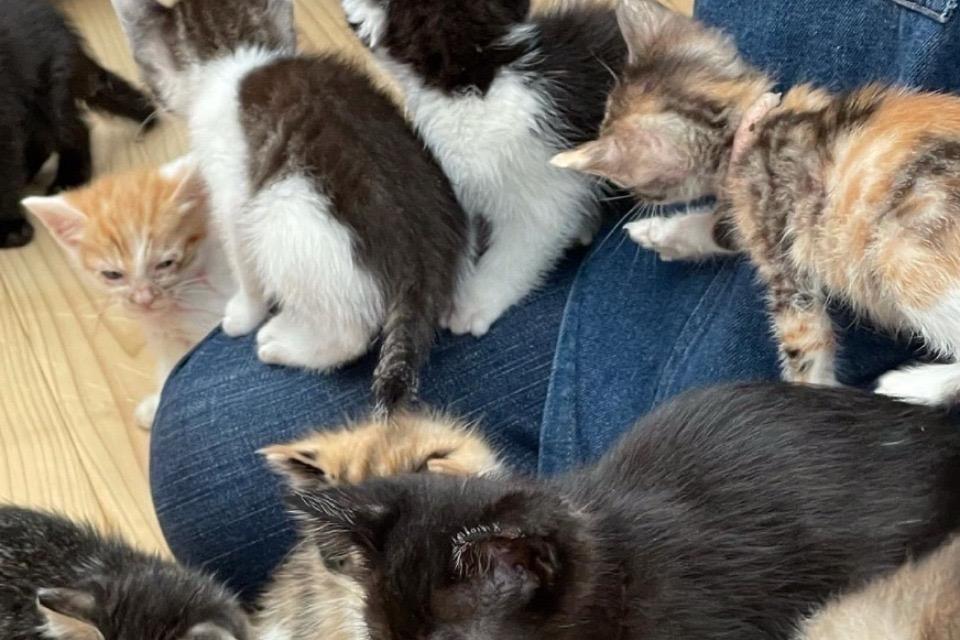 私たちの取り組む課題の画像