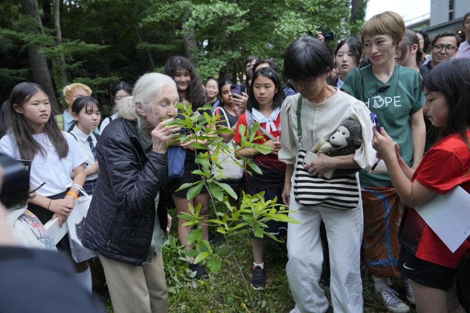 私たちの取り組む課題の画像