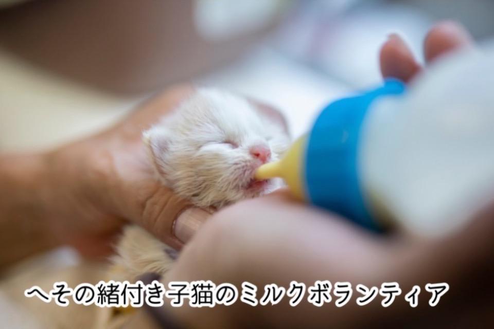 私たちの取り組む課題の画像