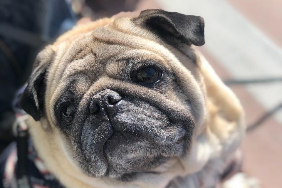 Issues we are working on Image