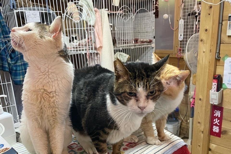 私たちの取り組む課題の画像