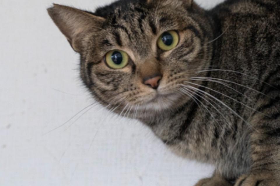 私たちの取り組む課題の画像