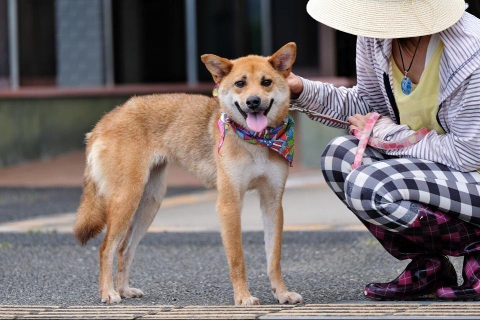 私たちの取り組む課題の画像