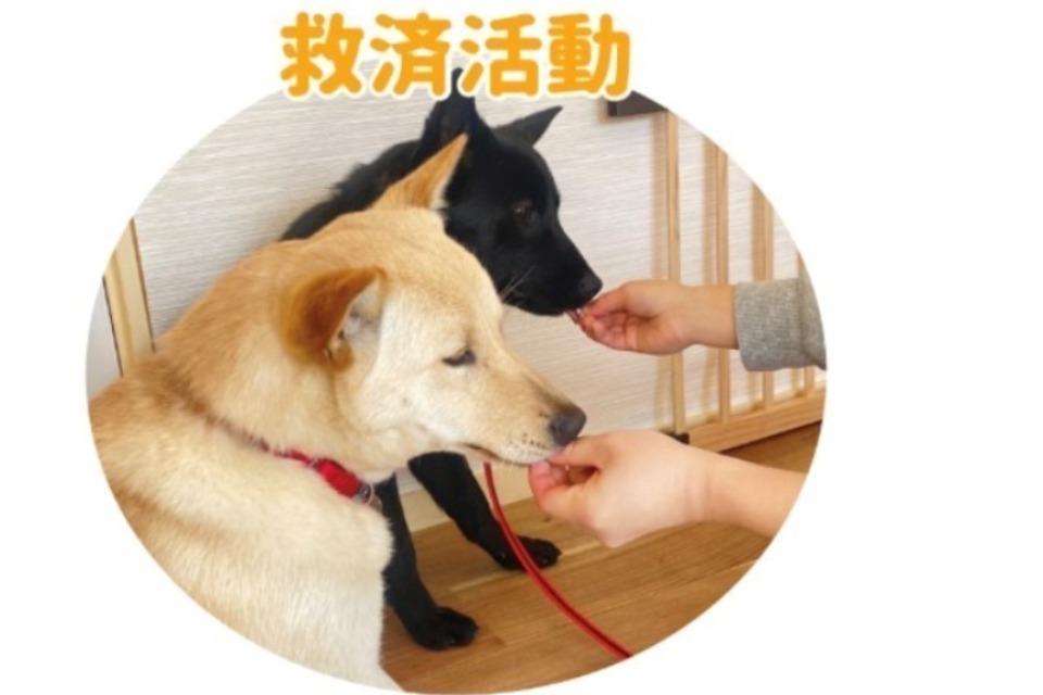 私たちの取り組む課題の画像
