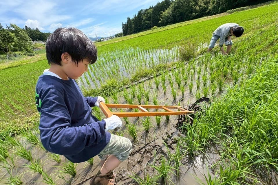 私たちの取り組む課題の画像