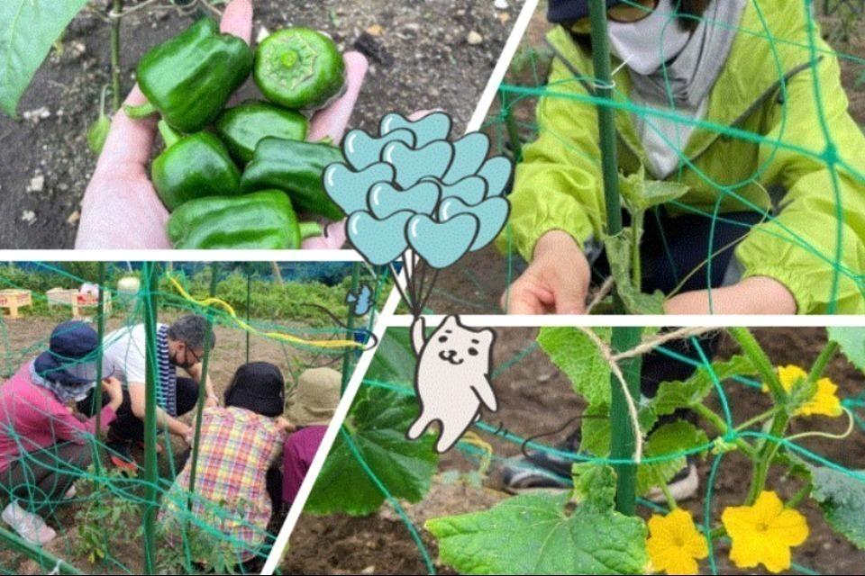 私たちの取り組む課題の画像