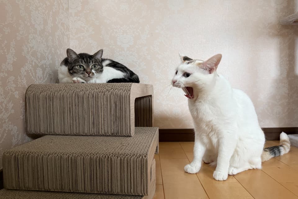 私たちの取り組む課題の画像