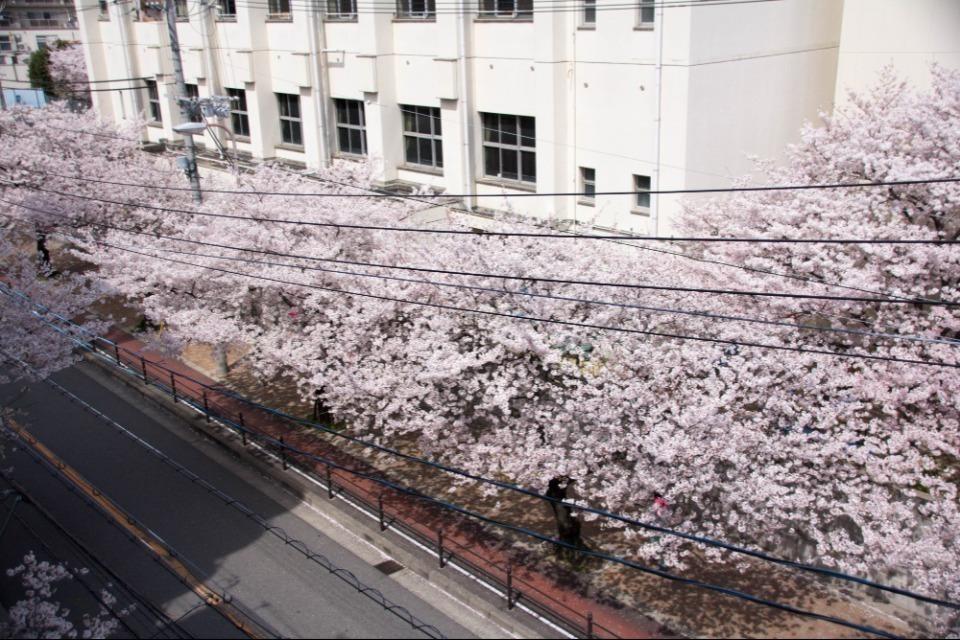 私たちの取り組む課題の画像