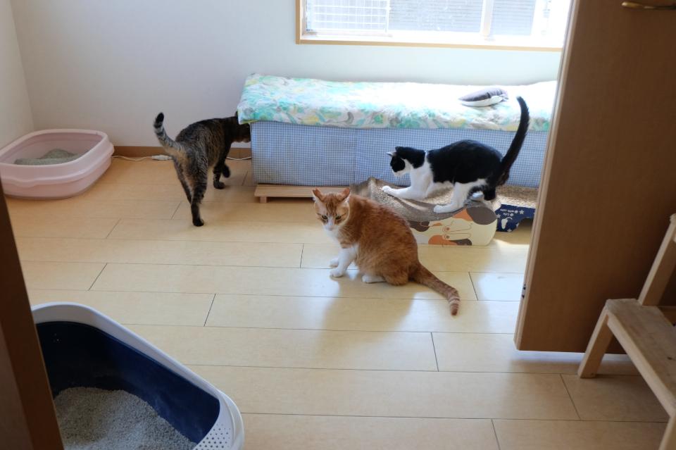 私たちの取り組む課題の画像