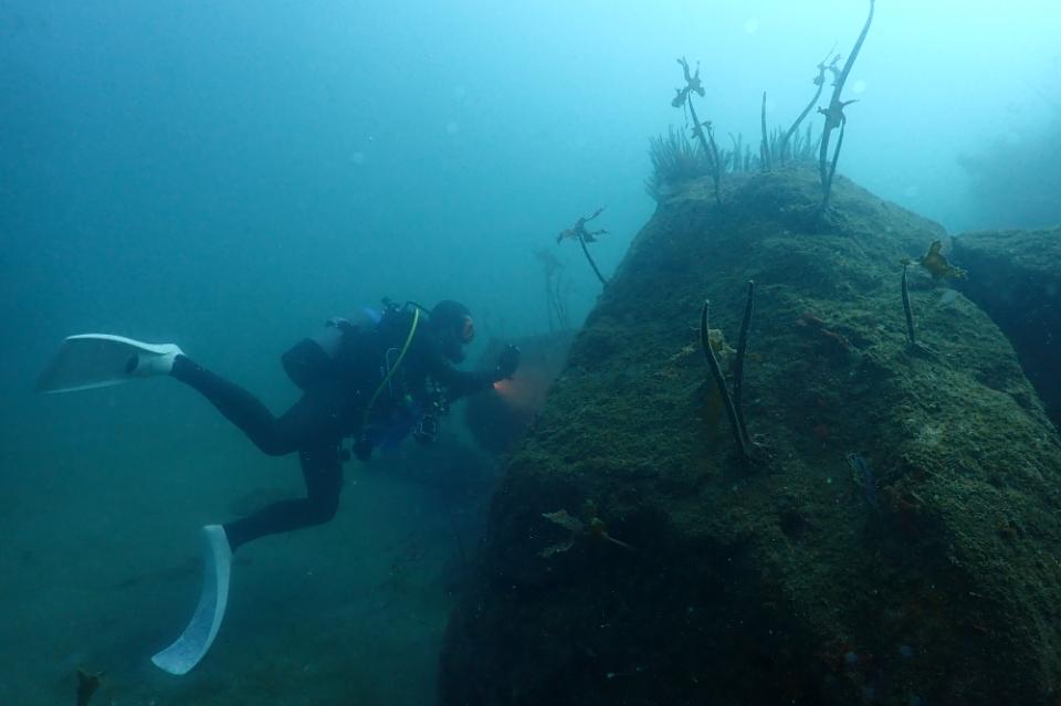 Issues we are working on Image