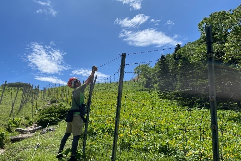 なぜこの課題に取り組むかの画像