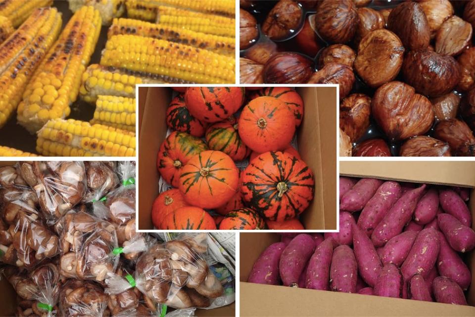 なぜこの課題に取り組むかの画像