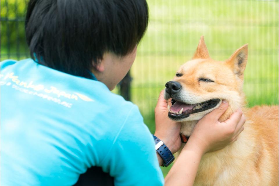 なぜこの課題に取り組むかの画像