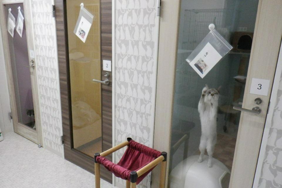なぜこの課題に取り組むかの画像