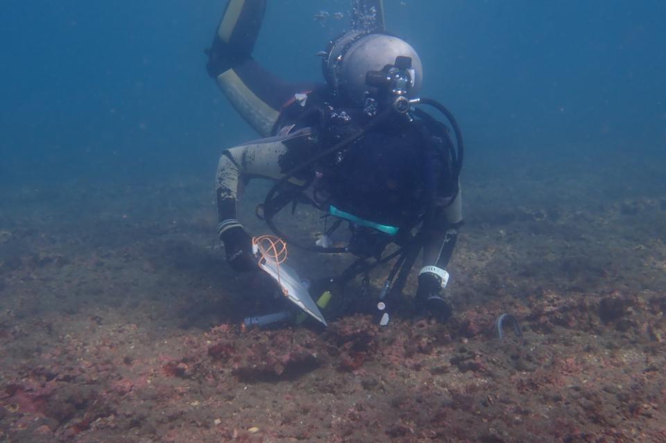 Why we are tackling this issue Image