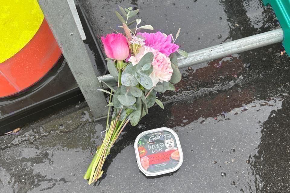 なぜこの課題に取り組むかの画像