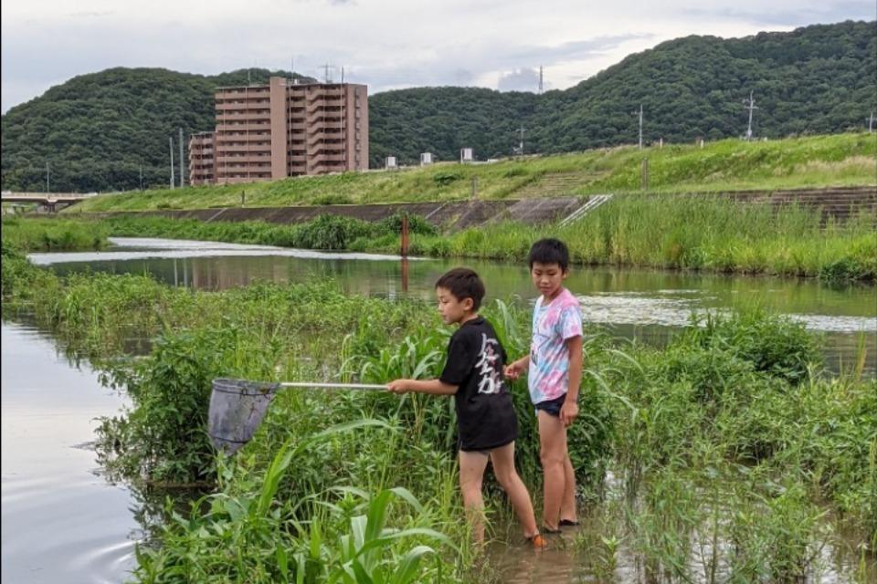 Why we are tackling this issue Image