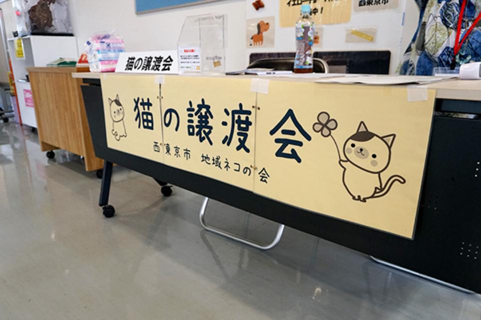 Why we are tackling this issue Image