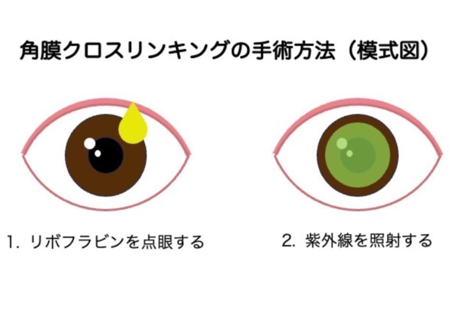 なぜこの課題に取り組むかの画像