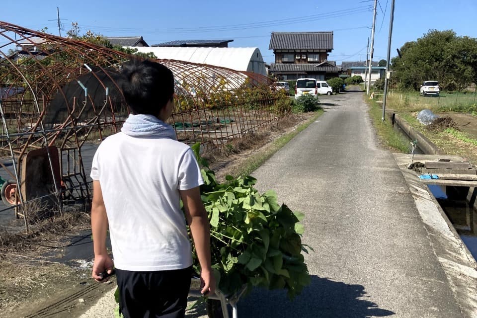 なぜこの課題に取り組むかの画像