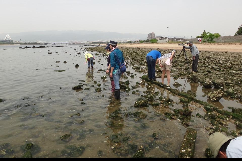 なぜこの課題に取り組むかの画像