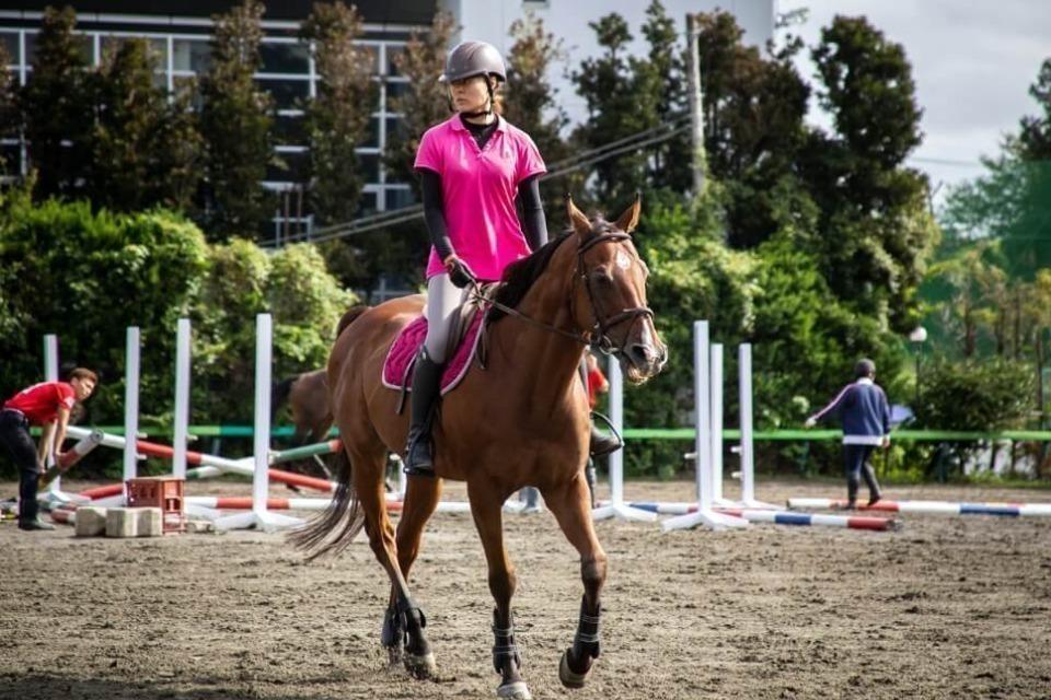 なぜこの課題に取り組むかの画像