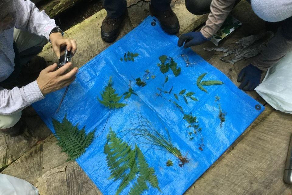なぜこの課題に取り組むかの画像
