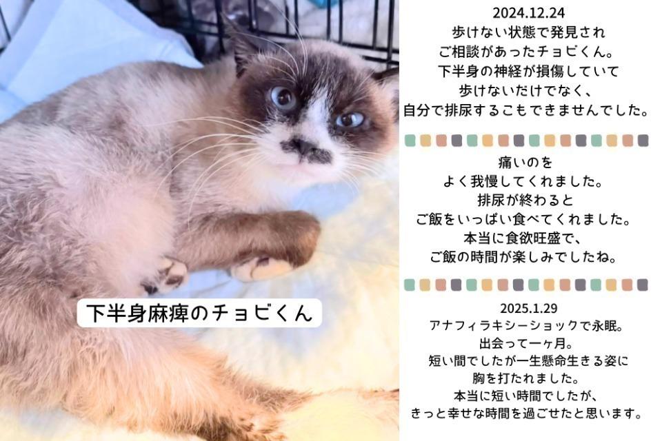 なぜこの課題に取り組むかの画像