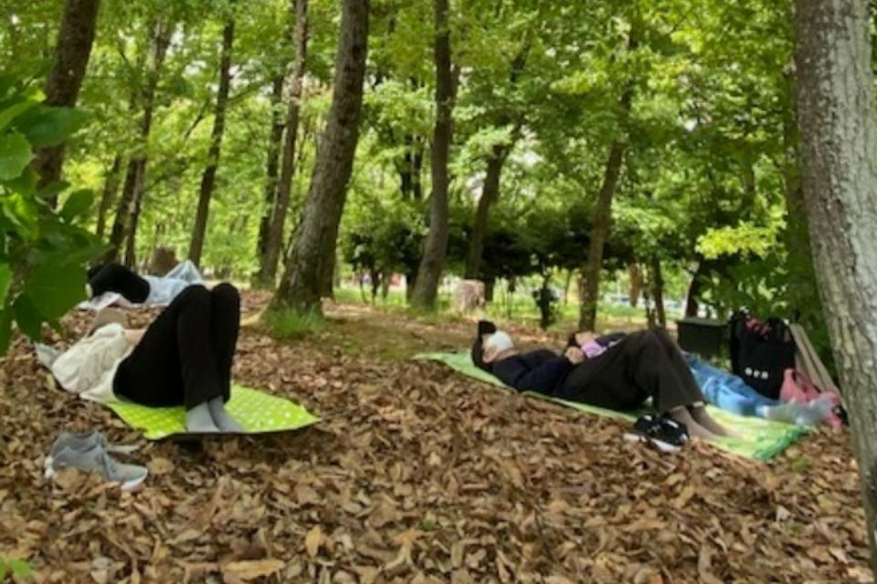 なぜこの課題に取り組むかの画像