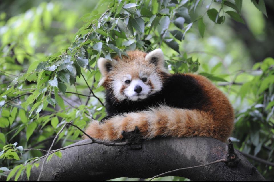 なぜこの課題に取り組むかの画像